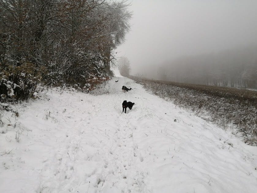 schnee2